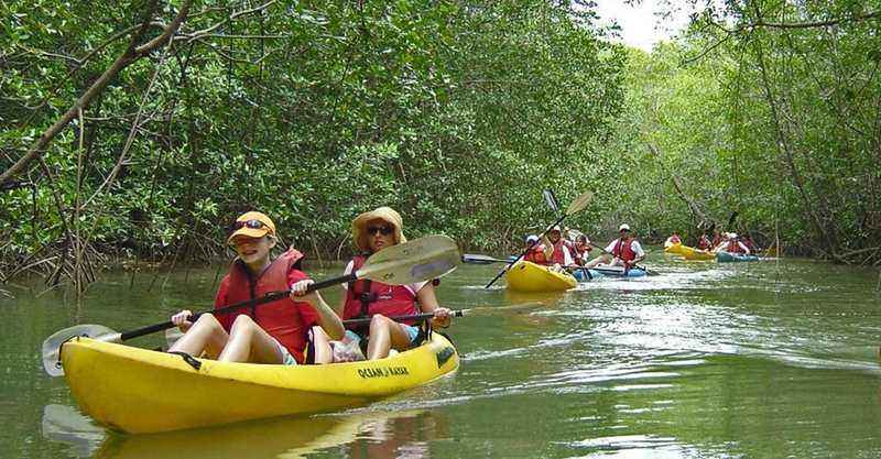 mangrove kayak tour manuel antonio costa rica