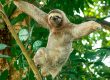 damas island boat tour half day quepos costa rica