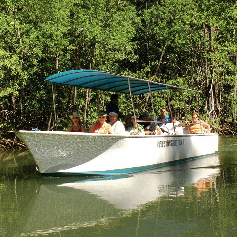 mangrove boat tour manuel antonio Damas Island