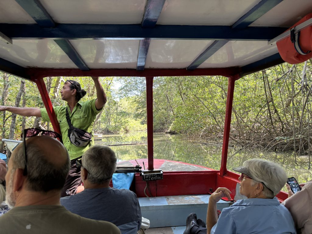 mangrove boat tour damas island manuel antonio