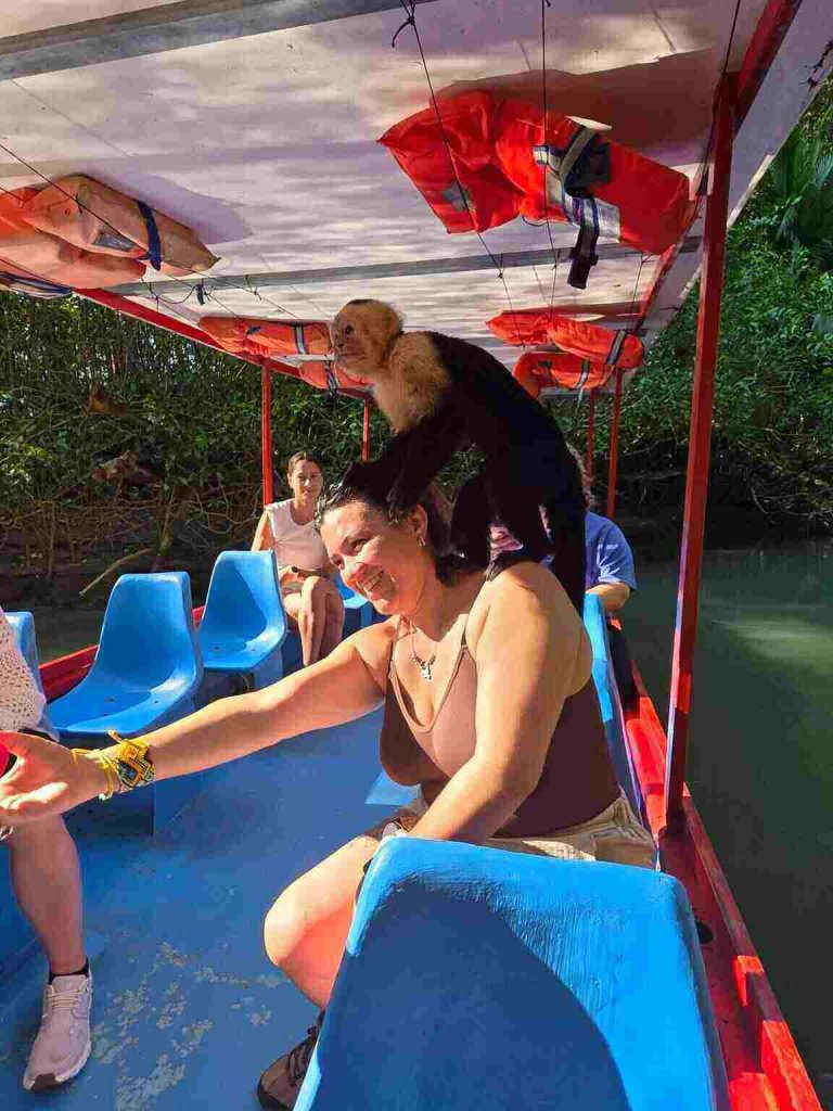 mangrove boat tour manuel antonio