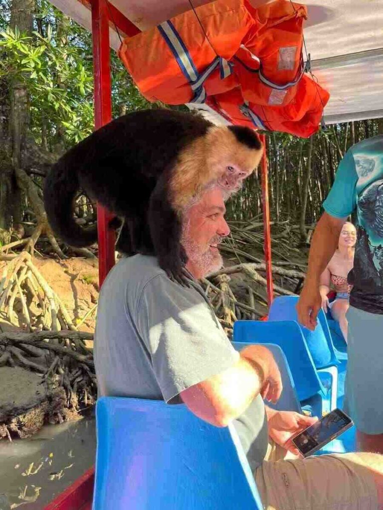 mangrove boat tour manuel antonio