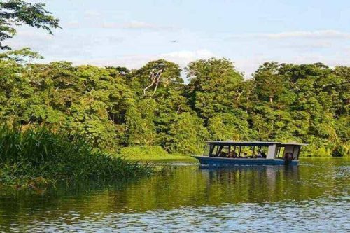 mangrove boat tour manuel antonio