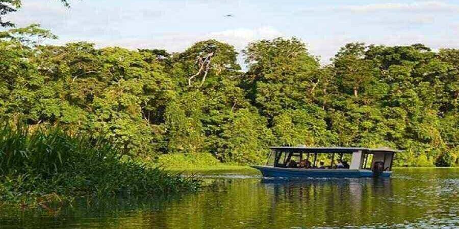 mangrove boat tour manuel antonio