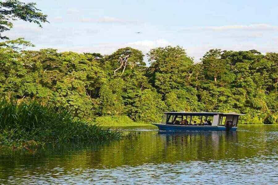 mangrove boat tour manuel antonio